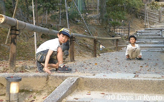 Two brothers in Kodai-ji temple helped me to  collect leaves from the gravel.