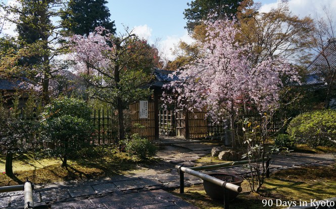 Daiho-in, sub-temple of Myoshin-ji in Kyoto