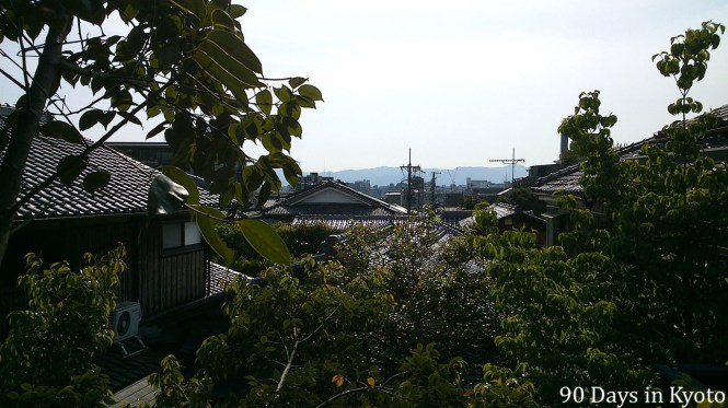 Once we took off some branches, we could see Kyoto and a fresh breeze of air now and then made the  work less tiring