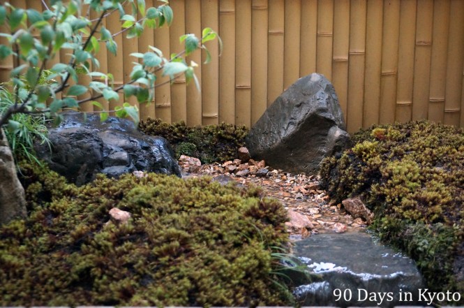 Japanese tsuboniwa garden in Kyoto